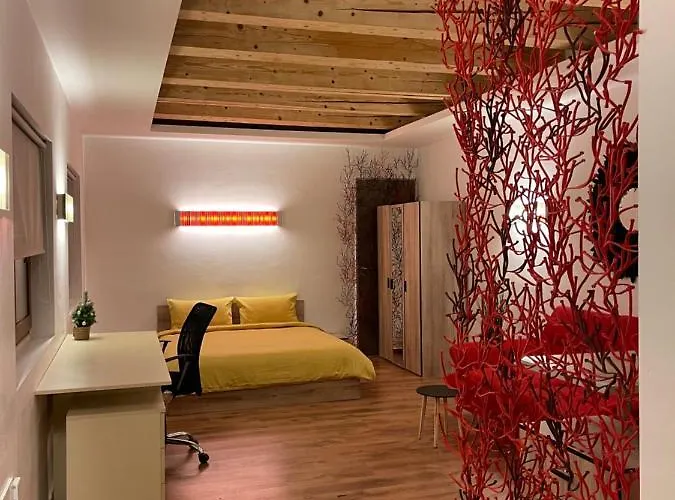 New Workspace Savoya9 Self Check In Old Center Apartman Temesvár