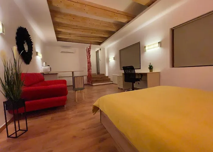 New Workspace Savoya9 Self Check In Old Center דירה טימישוארה